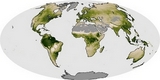 Mapa del mundo productividad primaria neta